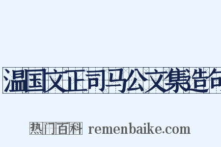 温国文正司马公文集造句是什么意思的图片